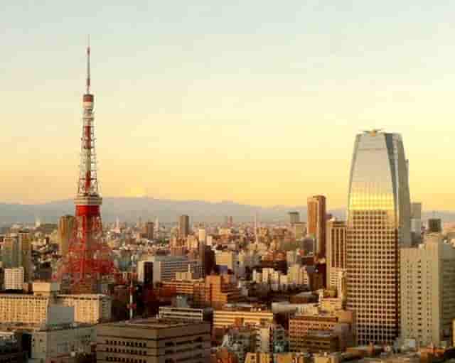 袖虎教你避雷：猫咪的虚假求救信号和真实求救信号